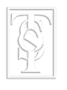 tso logo