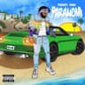 track cover