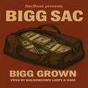 radio cover