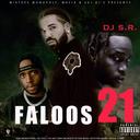 radio cover