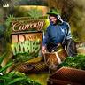 track cover