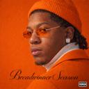 radio cover